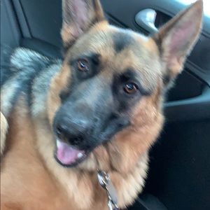 Meet your Posher, Bbrianna